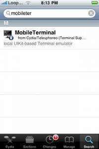 mobile terminal security