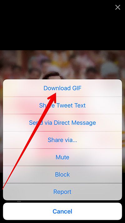 How to Download Twitter GIFs and Videos on iPad, iPhone – Apple Must