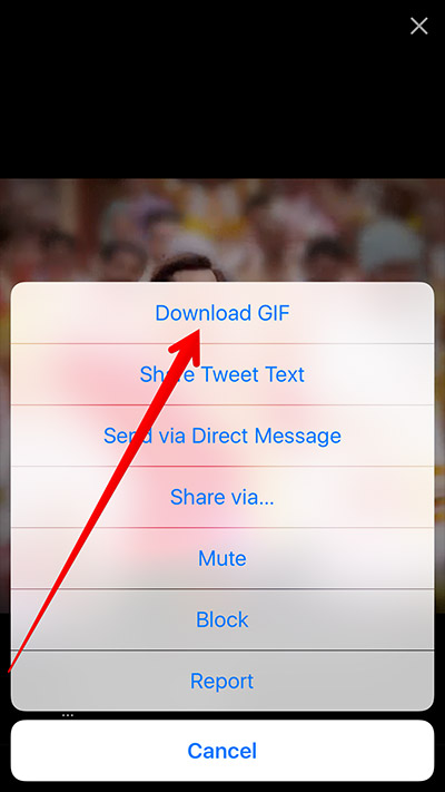 How to download twitter video and GIF to iPhone - Twitter Video