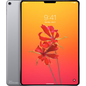 iPad Pro 2018 with Notch