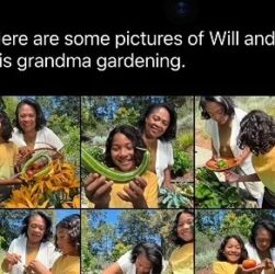 Siri AI on iOS 27 finding photos on iPhone