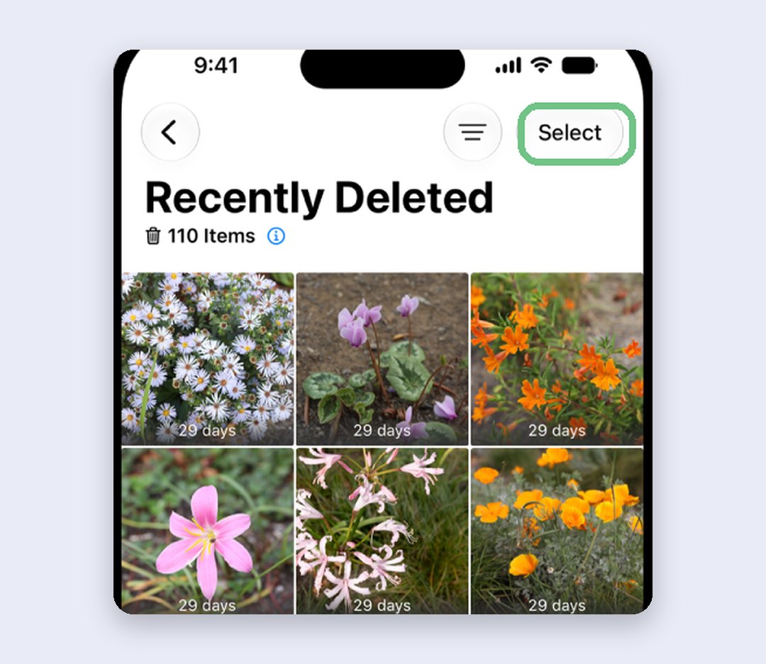 The Recently Deleted album in the iPhone Photos app, showing 110 items with days remaining on each photo and a Select button at the top
